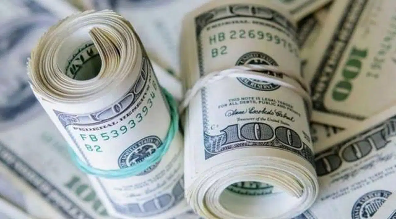 Merkez Bankası anketi: Yıl sonu dolar ve enflasyon tahmini açıklandı