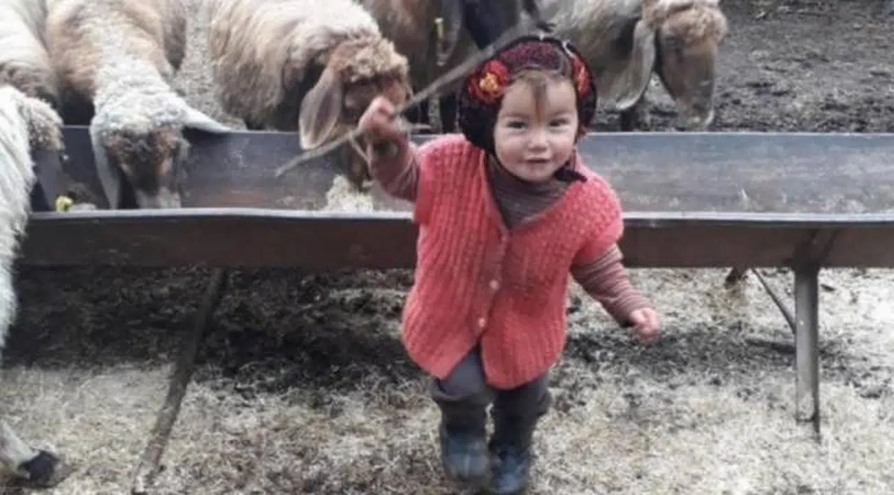 Müslüme'nin dedesi tutuklandı