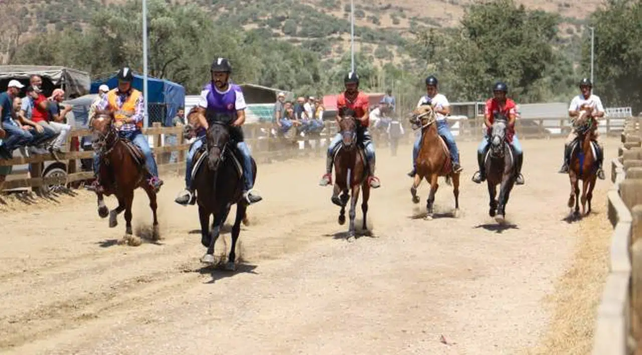 Ödemiş’te Atatürk Kupası Geleneksel Rahvan At Yarışları