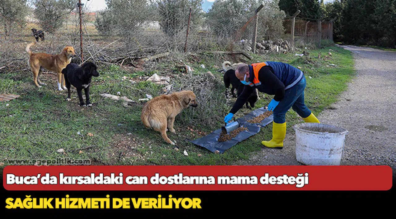 Buca’da kırsaldaki can dostlarına mama desteği