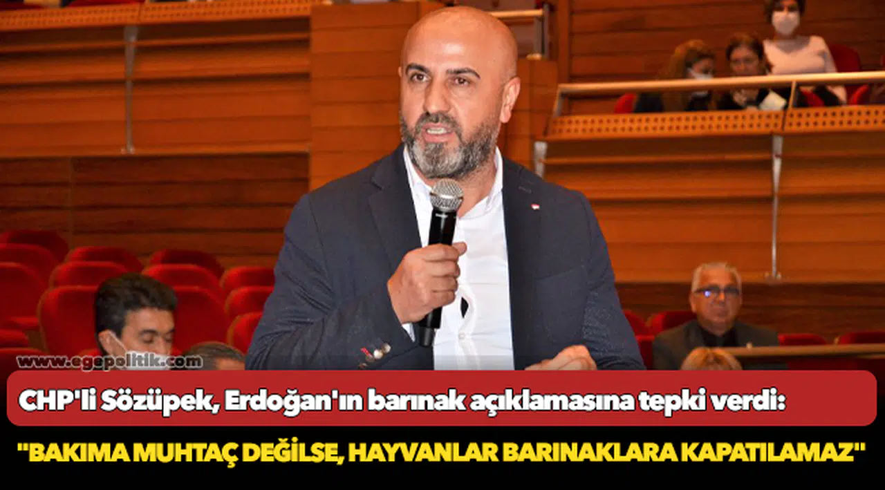 CHP'li Sözüpek, Erdoğan'ın barınak açıklamasına tepki verdi: "Bakıma muhtaç değilse, hayvanlar barınaklara kapatılamaz"