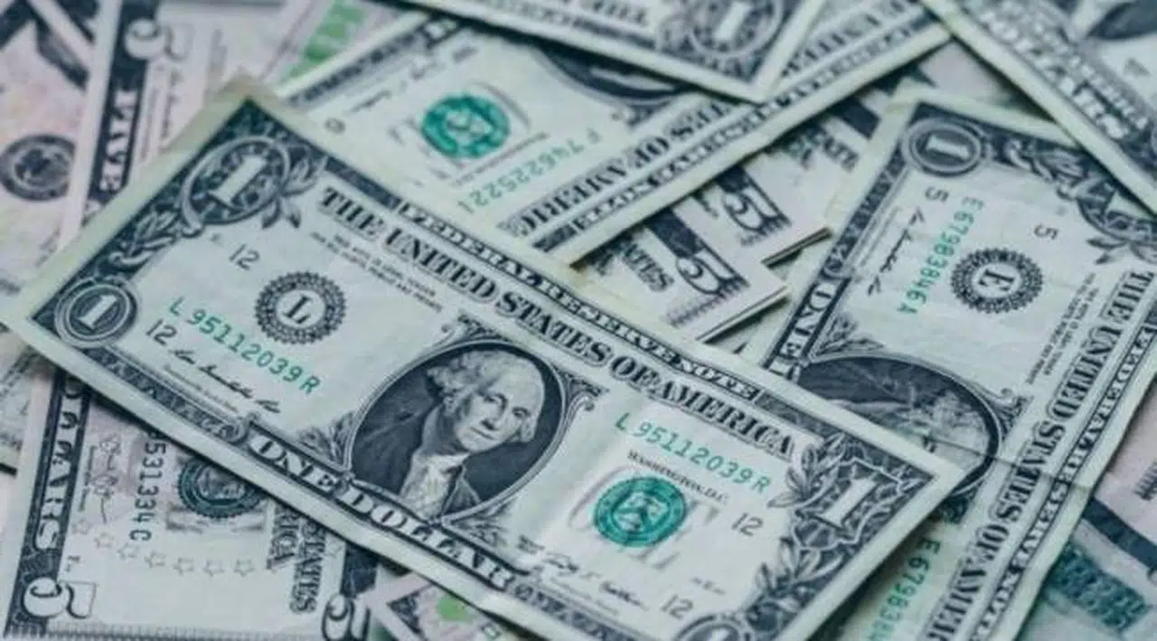 Dolar/TL 14'ü aşarak rekor kırdı