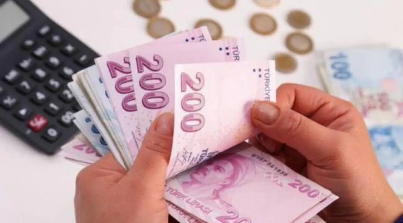 'Erdoğan asgari ücretin 4 binin altına inmemesini istiyor'