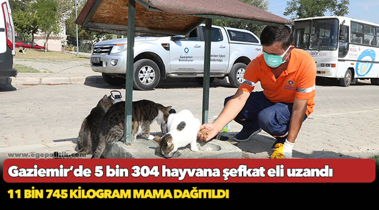 Gaziemir’de 5 bin 304 hayvana şefkat eli uzandı
