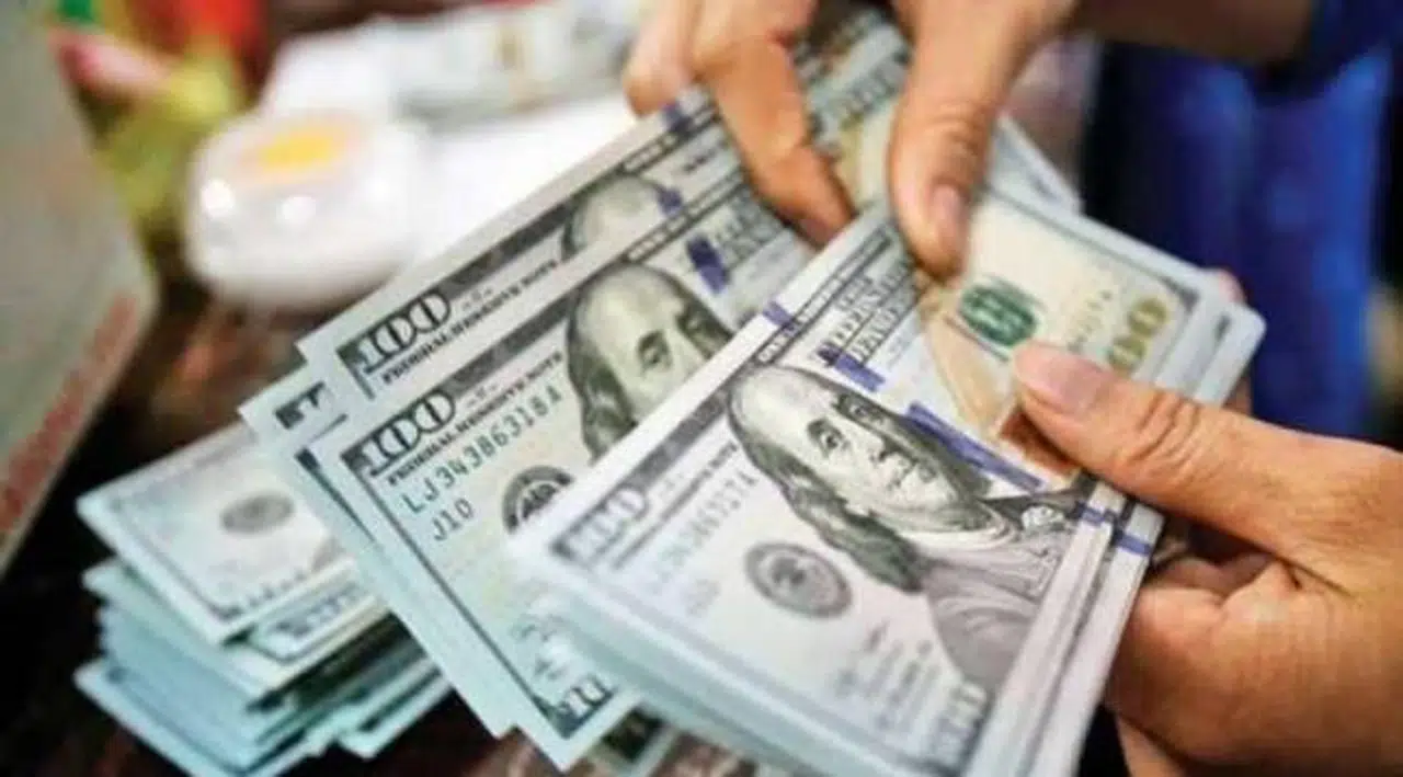 Merkez Bankası'nın 5. müdahalesinin büyüklüğü belli oldu