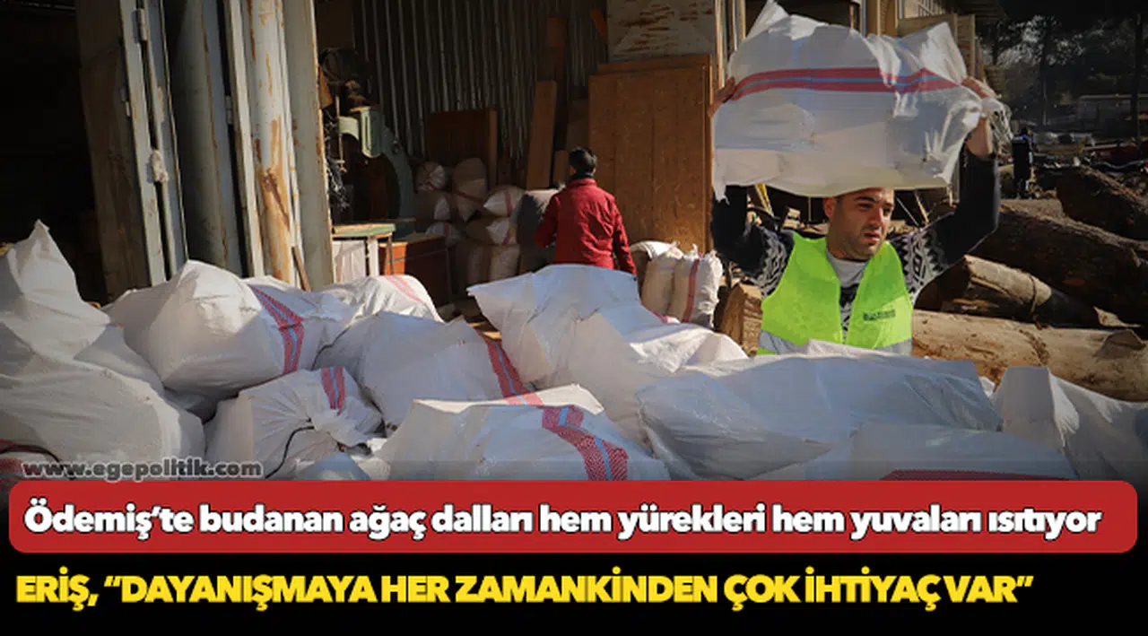 Ödemiş’te budanan ağaç dalları hem yürekleri hem yuvaları ısıtıyor