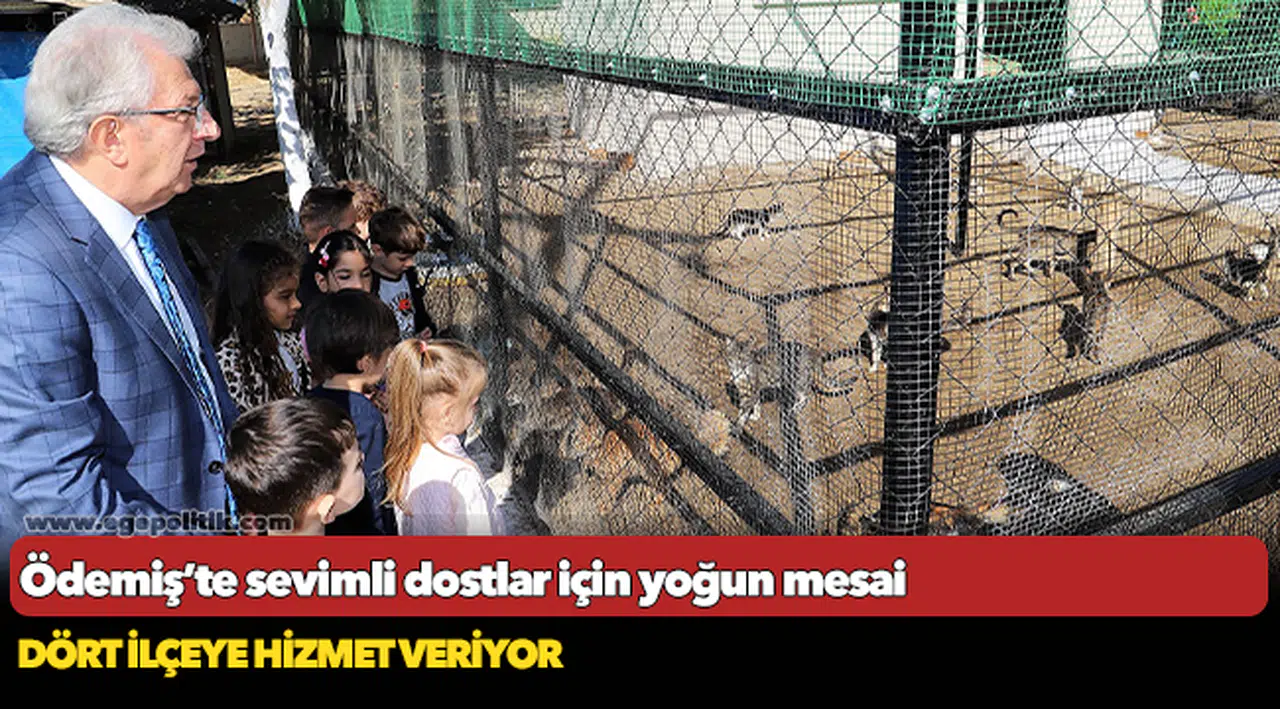 Ödemiş’te sevimli dostlar için yoğun mesai