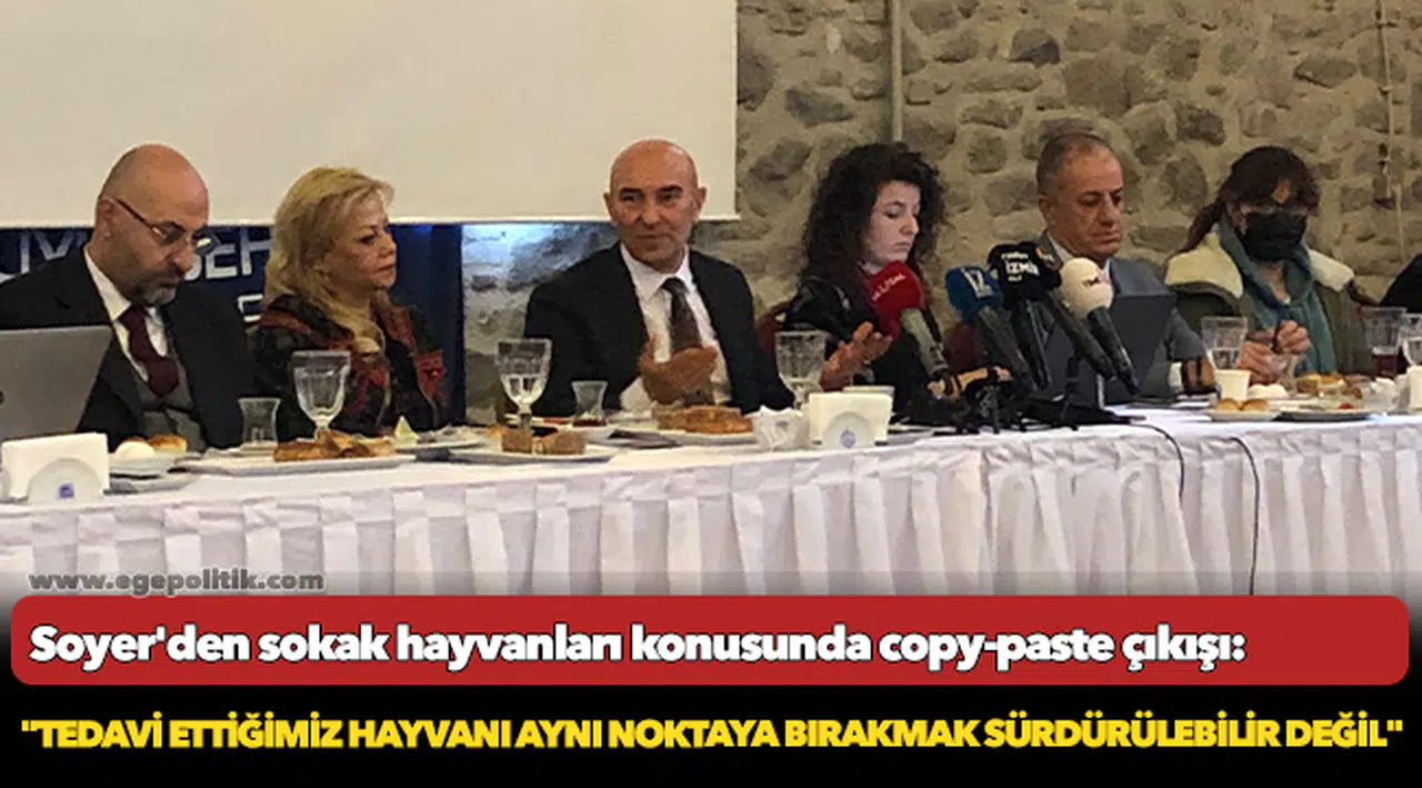 Soyer'den sokak hayvanları konusunda copy-paste çıkışı: "Tedavi ettiğimiz hayvanı aynı noktaya bırakmak sürdürülebilir değil"