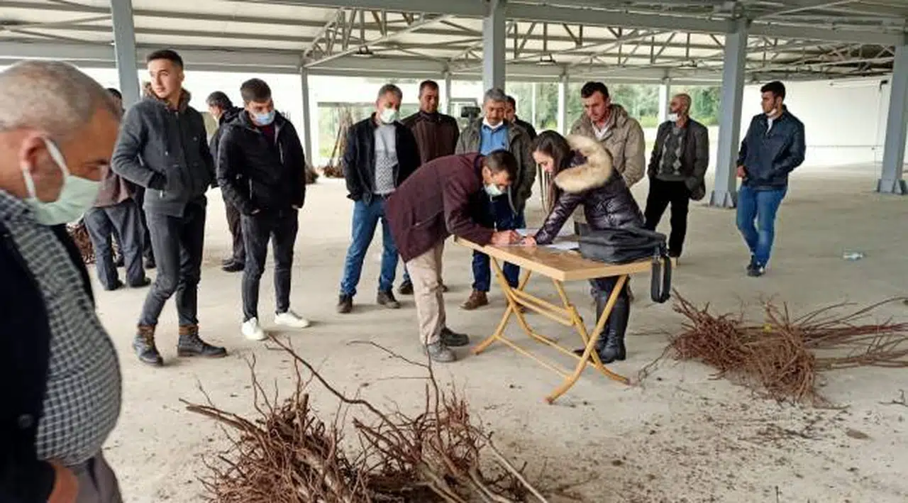 Tireli Üreticiler Yepyeni Bir Kestane Çeşidi ile Tanışıyor “Bouche de Betizac”