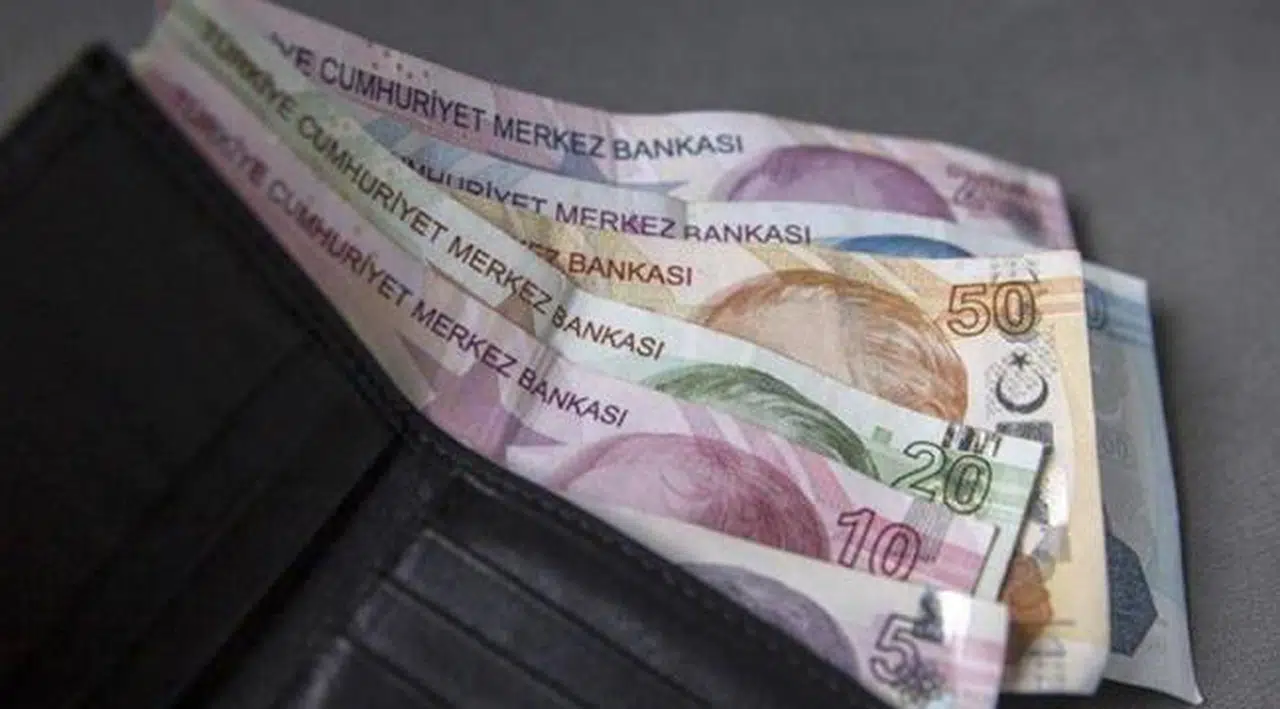 Yandaş yazar 'kulağına gelen' asgari ücreti açıkladı