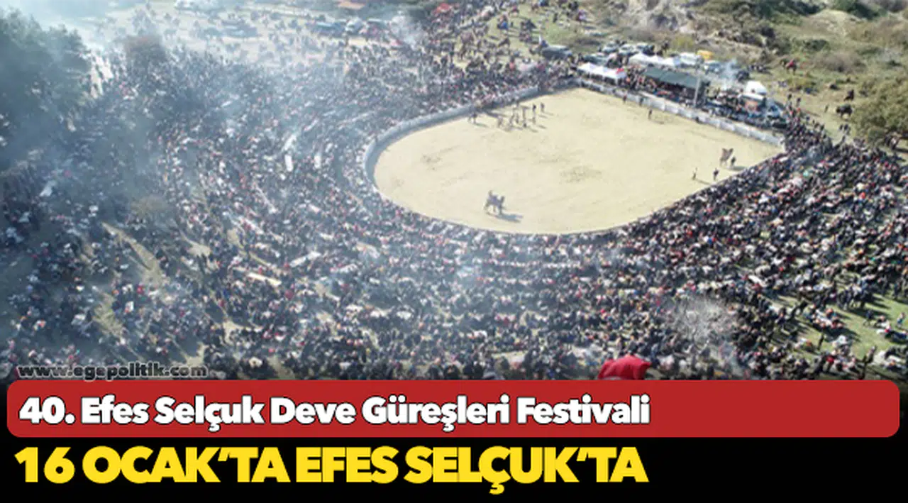 40. Efes Selçuk Deve Güreşleri Festivali 16 Ocak'ta Efes Selçuk'ta