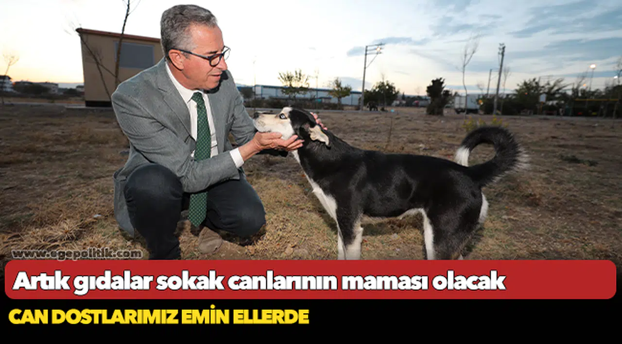 Artık gıdalar sokak canlarının maması olacak