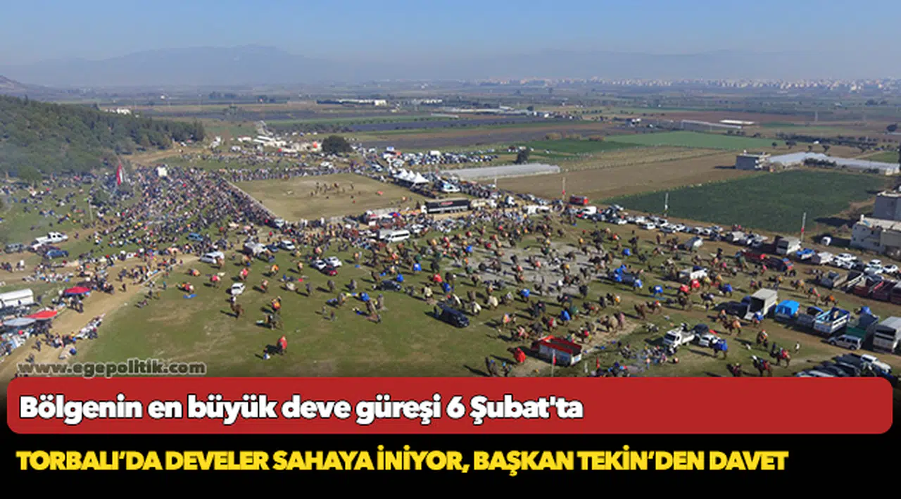 Bölgenin en büyük deve güreşi 6 Şubat'ta