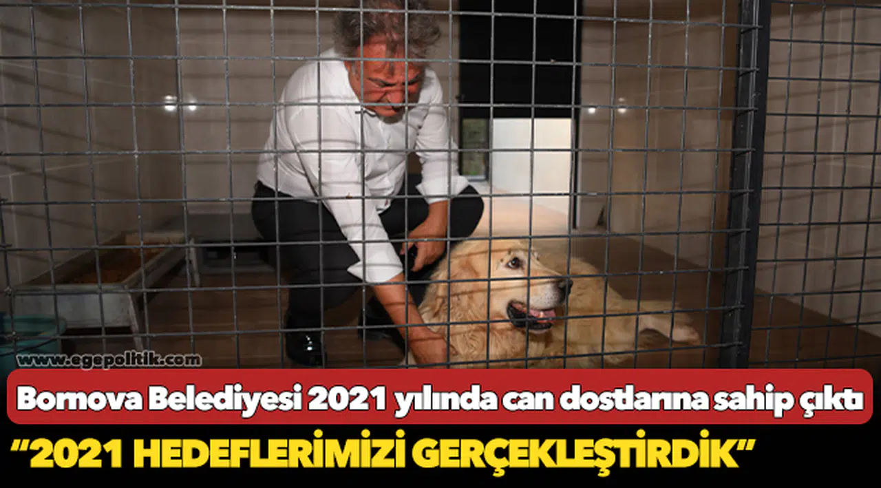Bornova Belediyesi 2021 yılında can dostlarına sahip çıktı