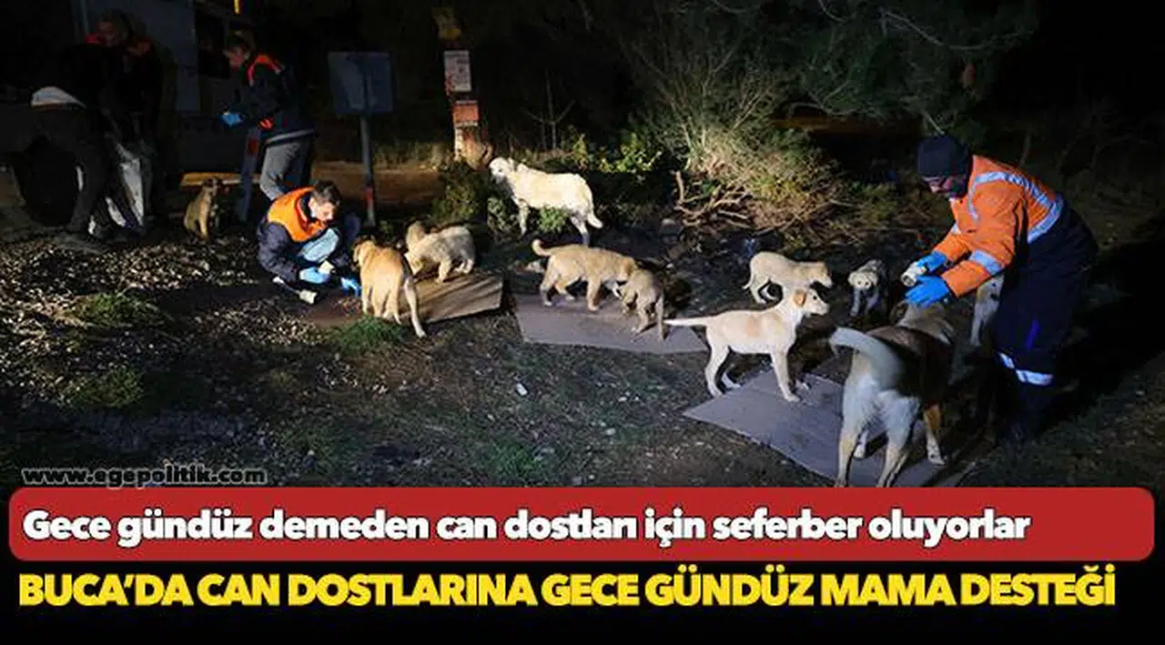 Buca’da can dostlarına gece gündüz mama desteği