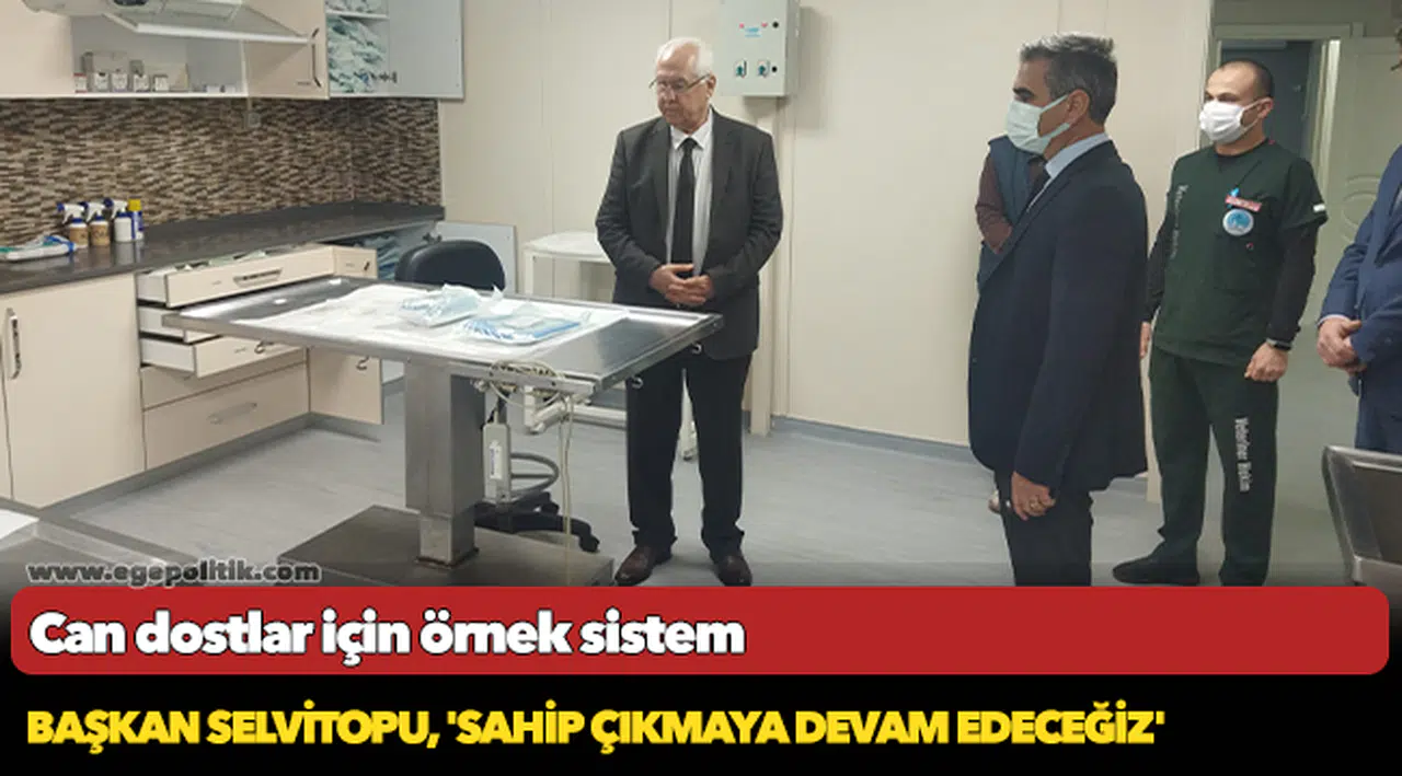 Can dostlar için örnek sistem