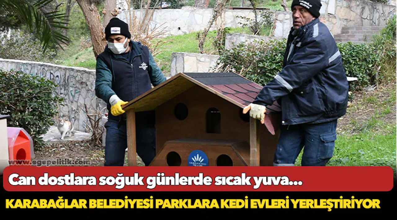 Can dostlara soğuk günlerde sıcak yuva...