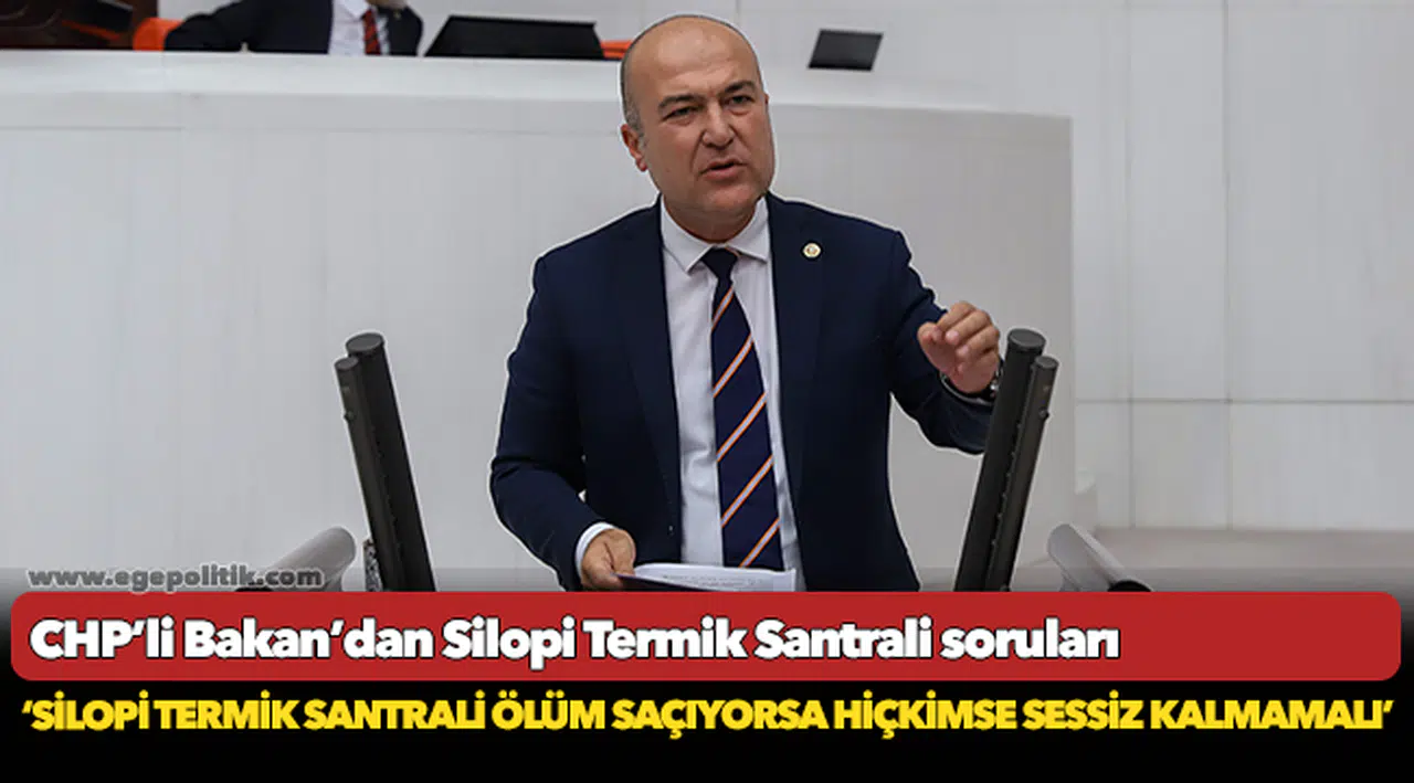 CHP’li Bakan’dan Silopi Termik Santrali soruları