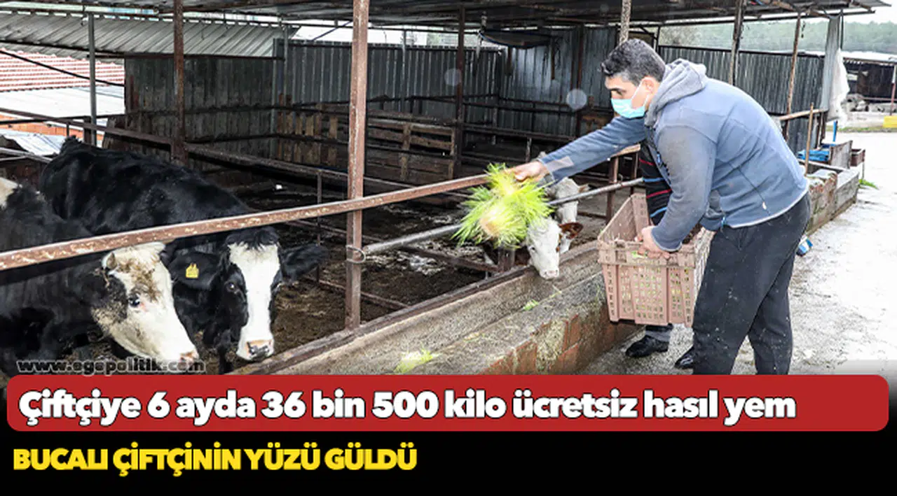 Çiftçiye 6 ayda 36 bin 500 kilo ücretsiz hasıl yem