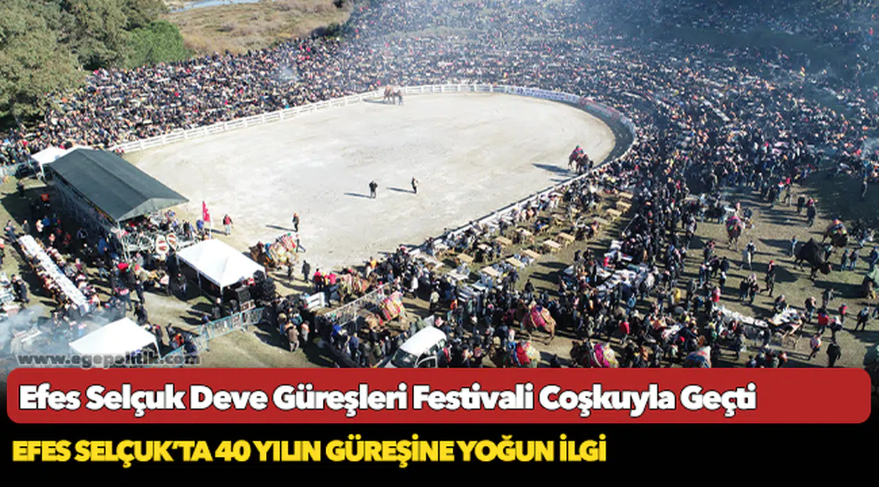 Efes Selçuk Deve Güreşleri Festivali Coşkuyla Geçti
