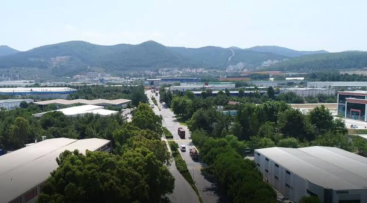 Ege Serbest Bölgesinde Tarihi Büyüme