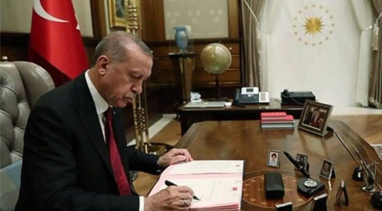 İki orman alanı Cumhurbaşkanı kararıyla 'orman olmaktan' çıkarıldı