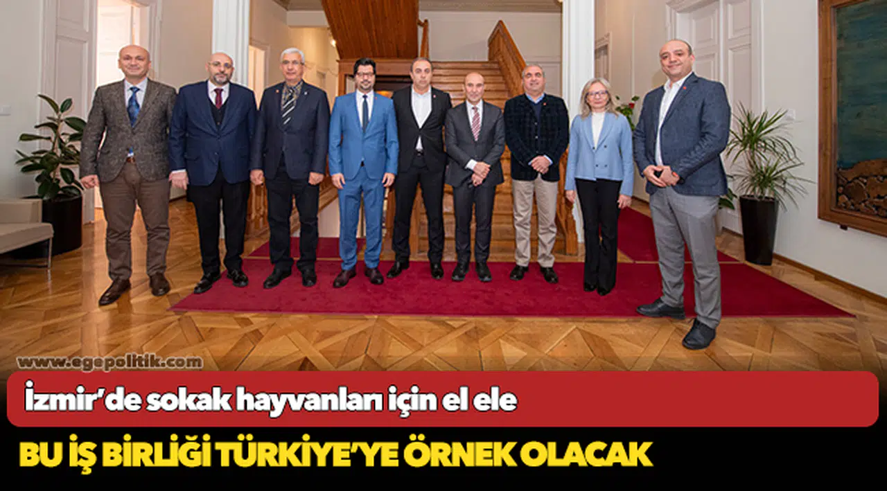 İzmir Büyükşehir Belediyesi ve Veteriner Hekimleri Odası sokak hayvanları için el ele