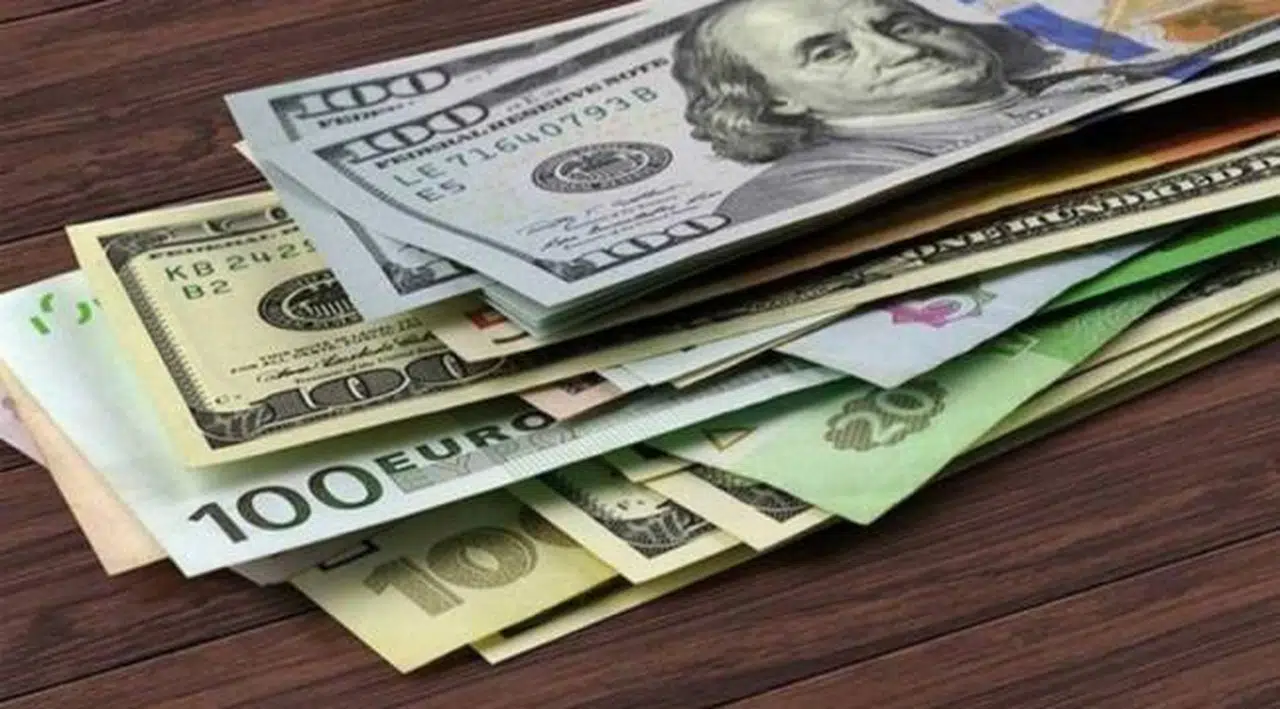 Merkez Bankası, dövize yapılan dördüncü doğrudan müdahalenin büyüklüğünü açıkladı