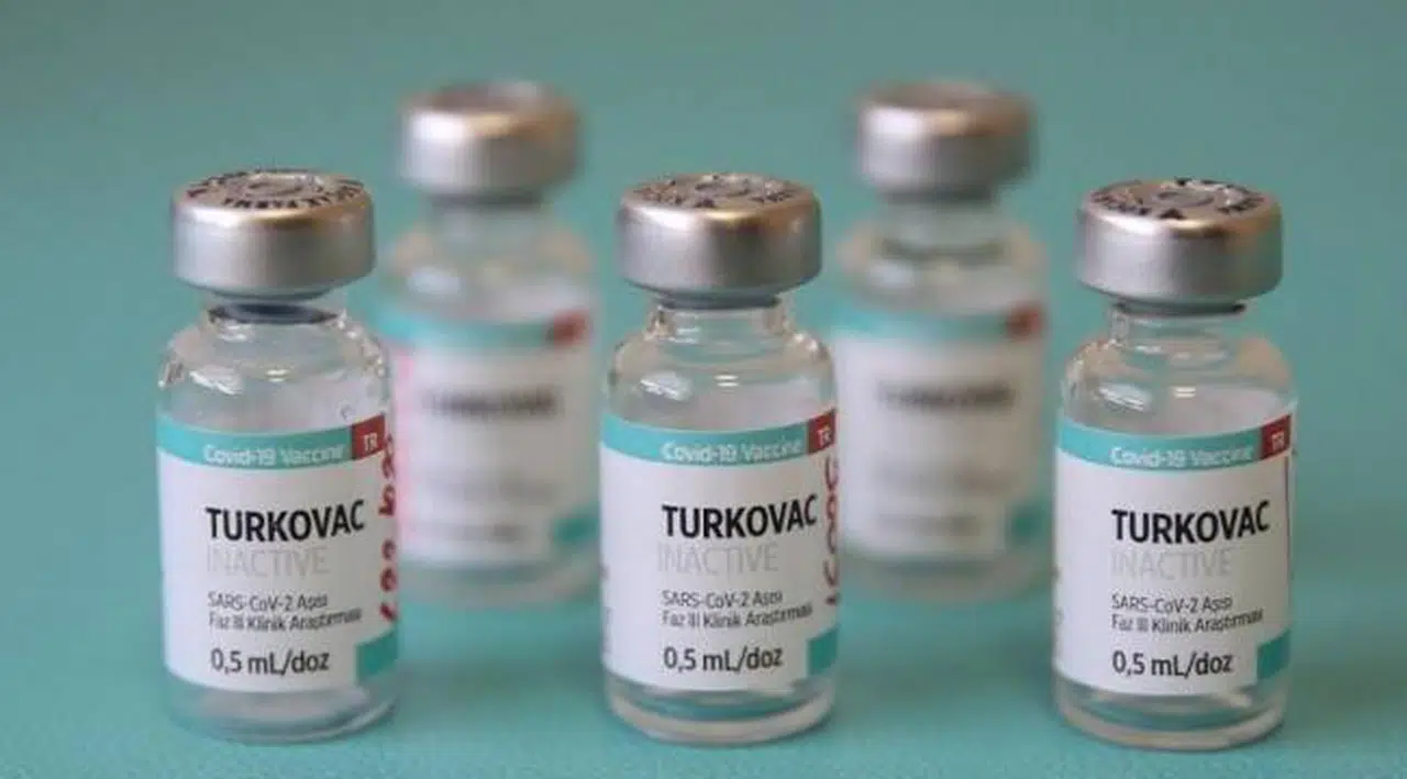 Turkovac Faz 3 sonuçları açıklandı