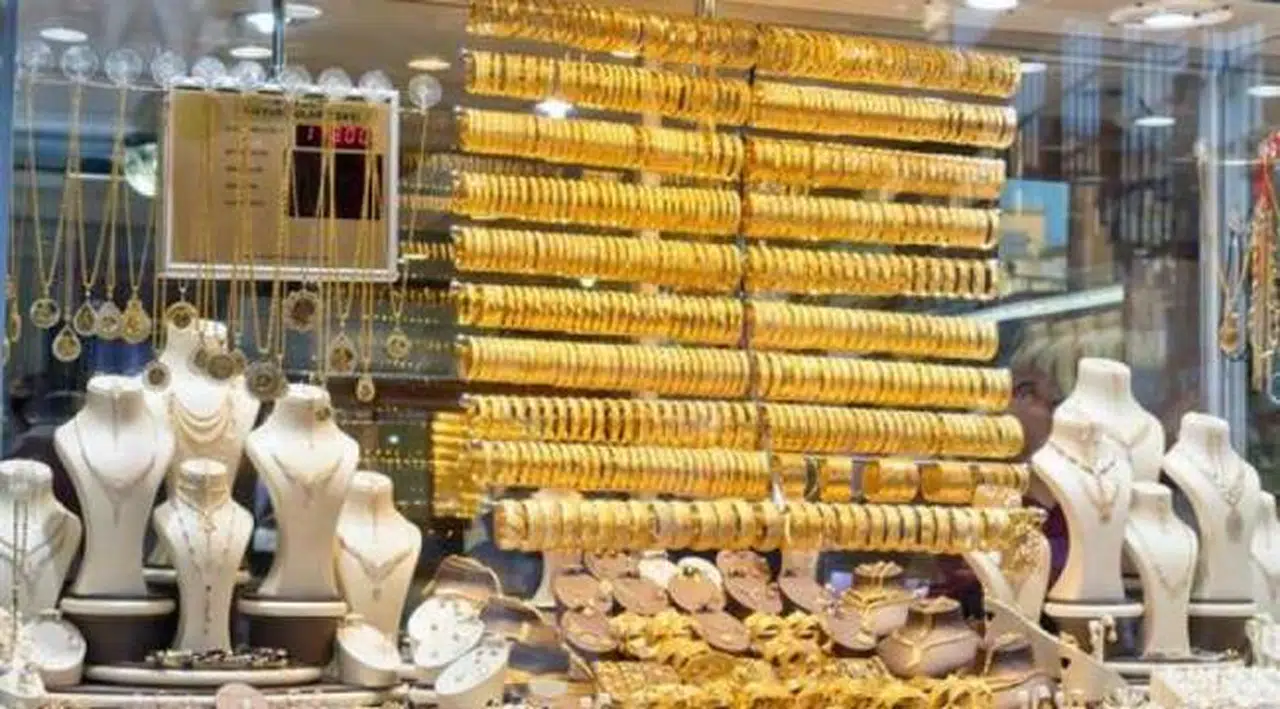 Bakan Nebati: Yastık altında sisteme girebilecek 5 bin ton altın var
