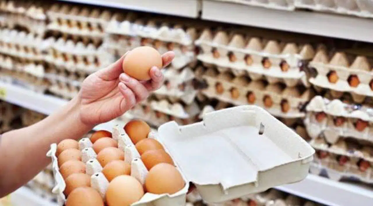 Bakanlıktan yumurta fiyatlarına ilişkin açıklama: Müfettiş görevlendirildi