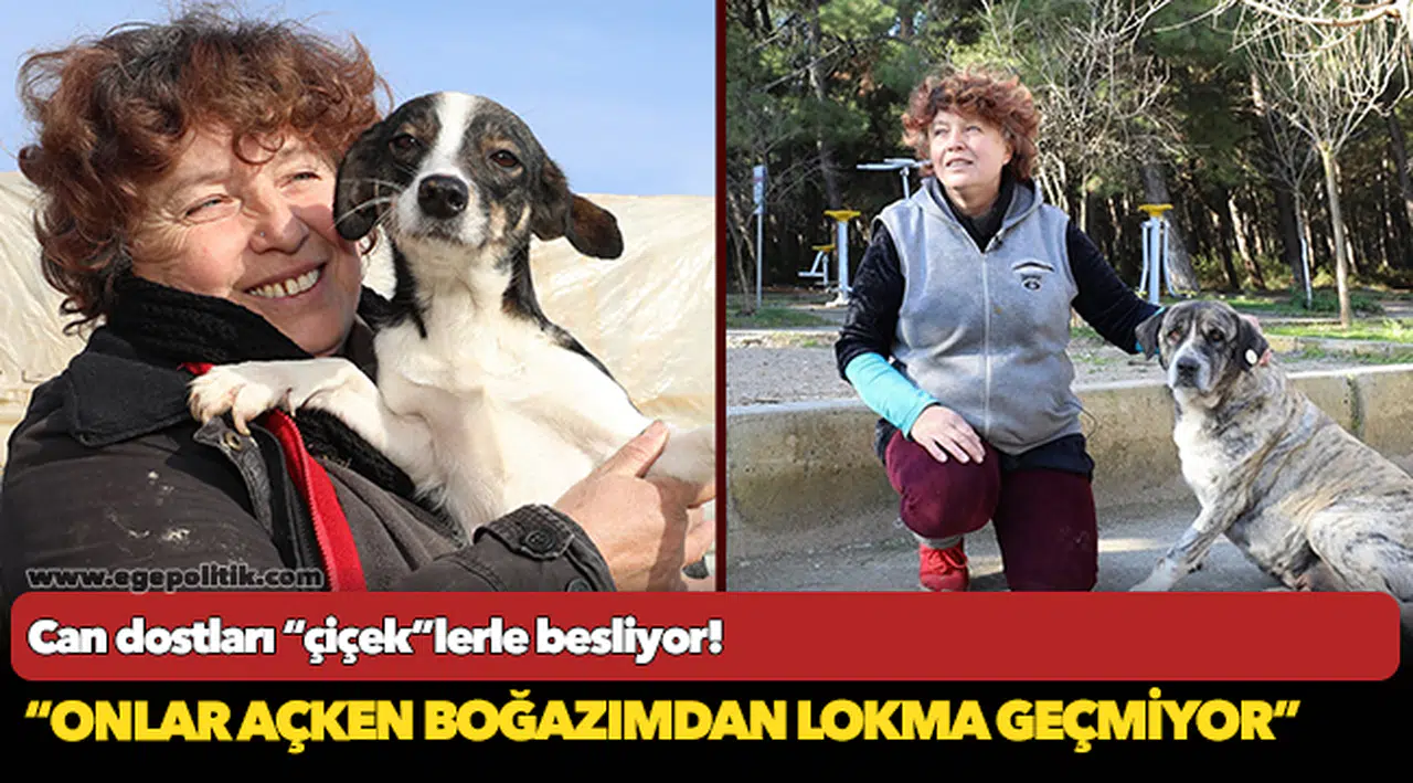 Can dostları “çiçek”lerle besliyor!