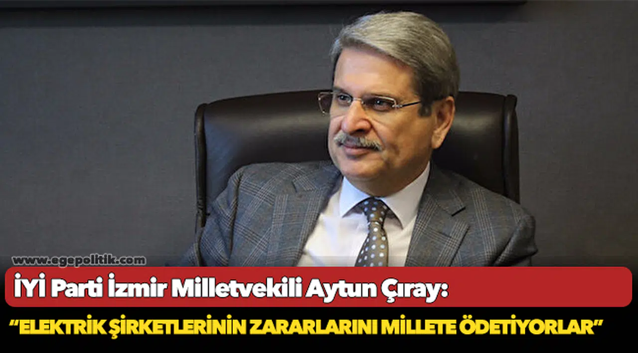 Çıray, "Elektrik Şirketlerinin Zararlarını Millete Ödetiyorlar"