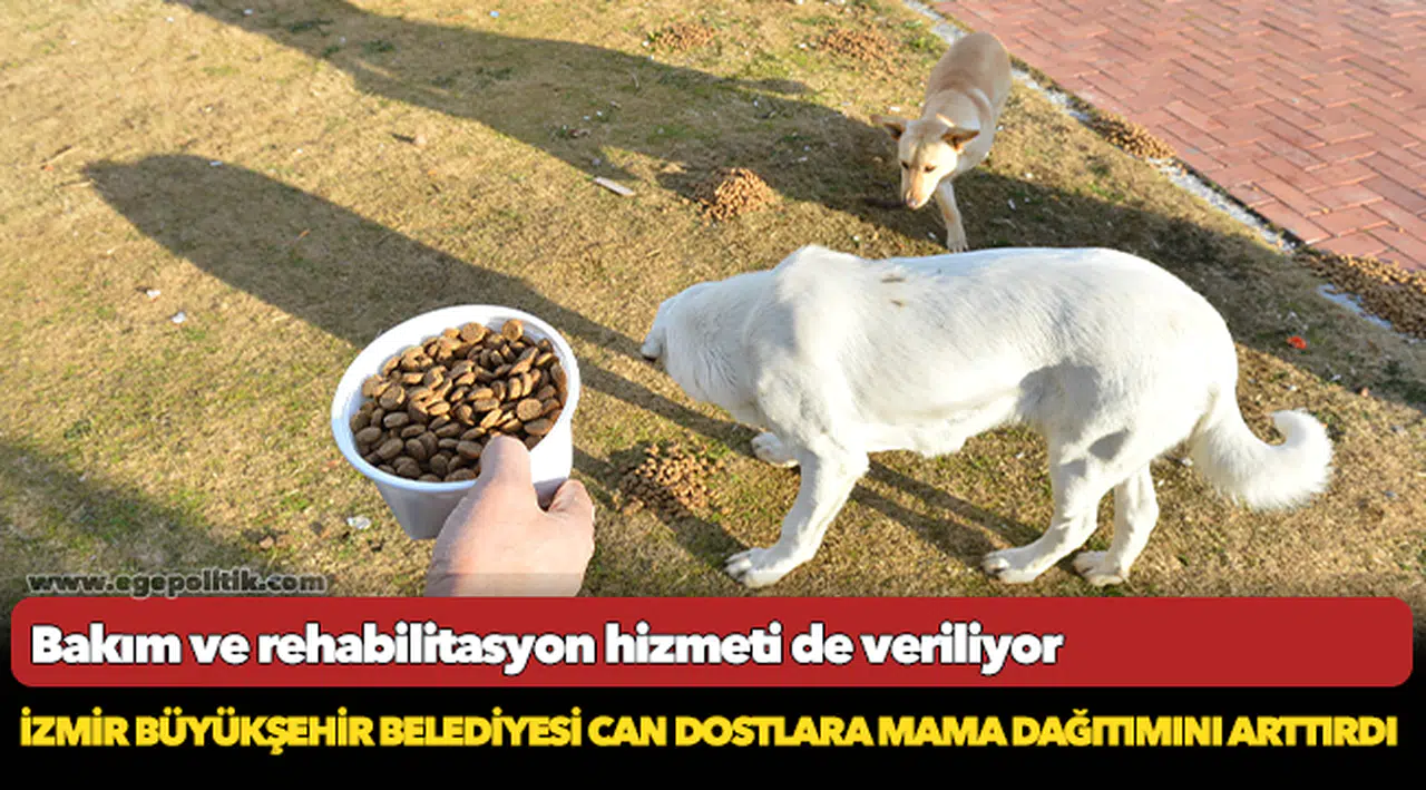 İzmir Büyükşehir Belediyesi can dostlara mama dağıtımını arttırdı