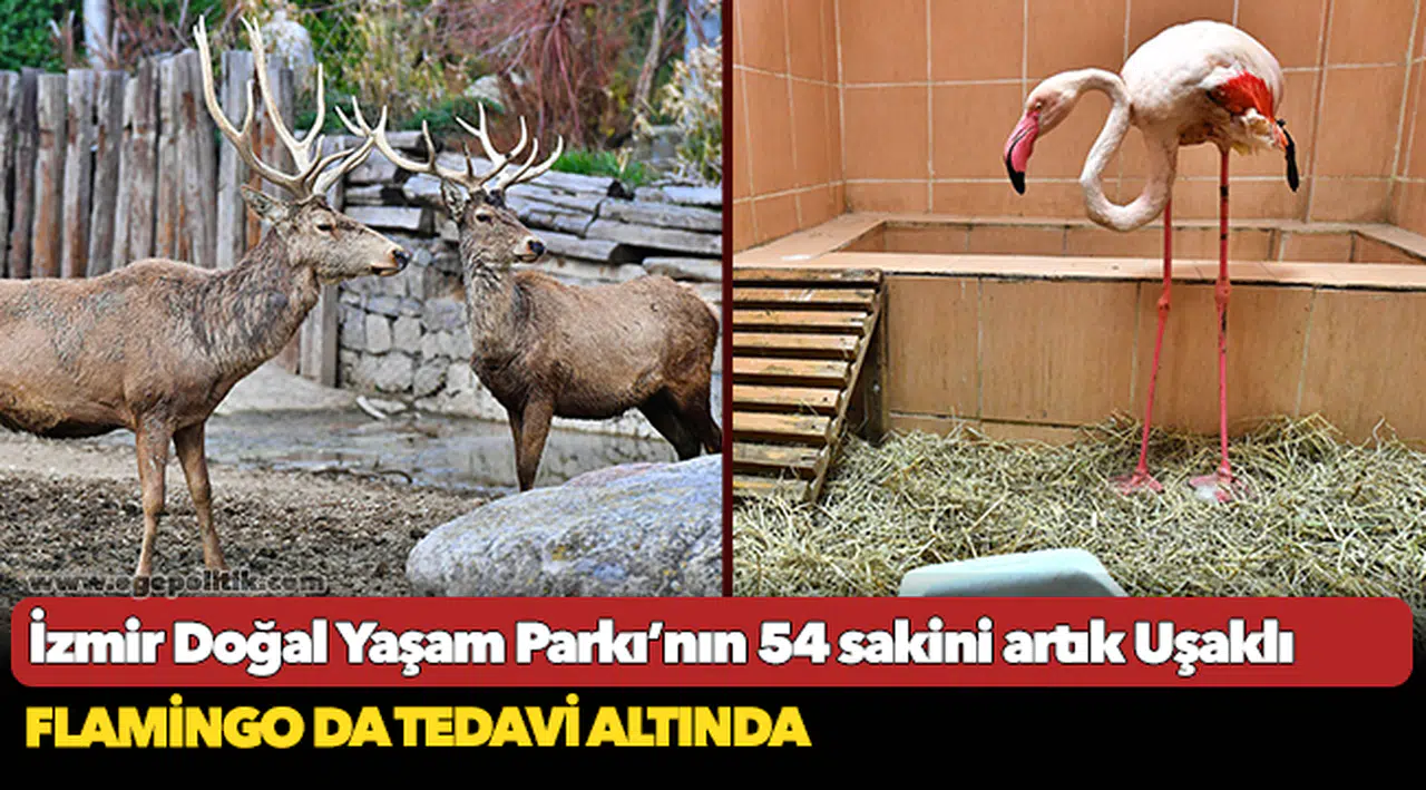 İzmir Doğal Yaşam Parkı’nın 54 sakini artık Uşaklı