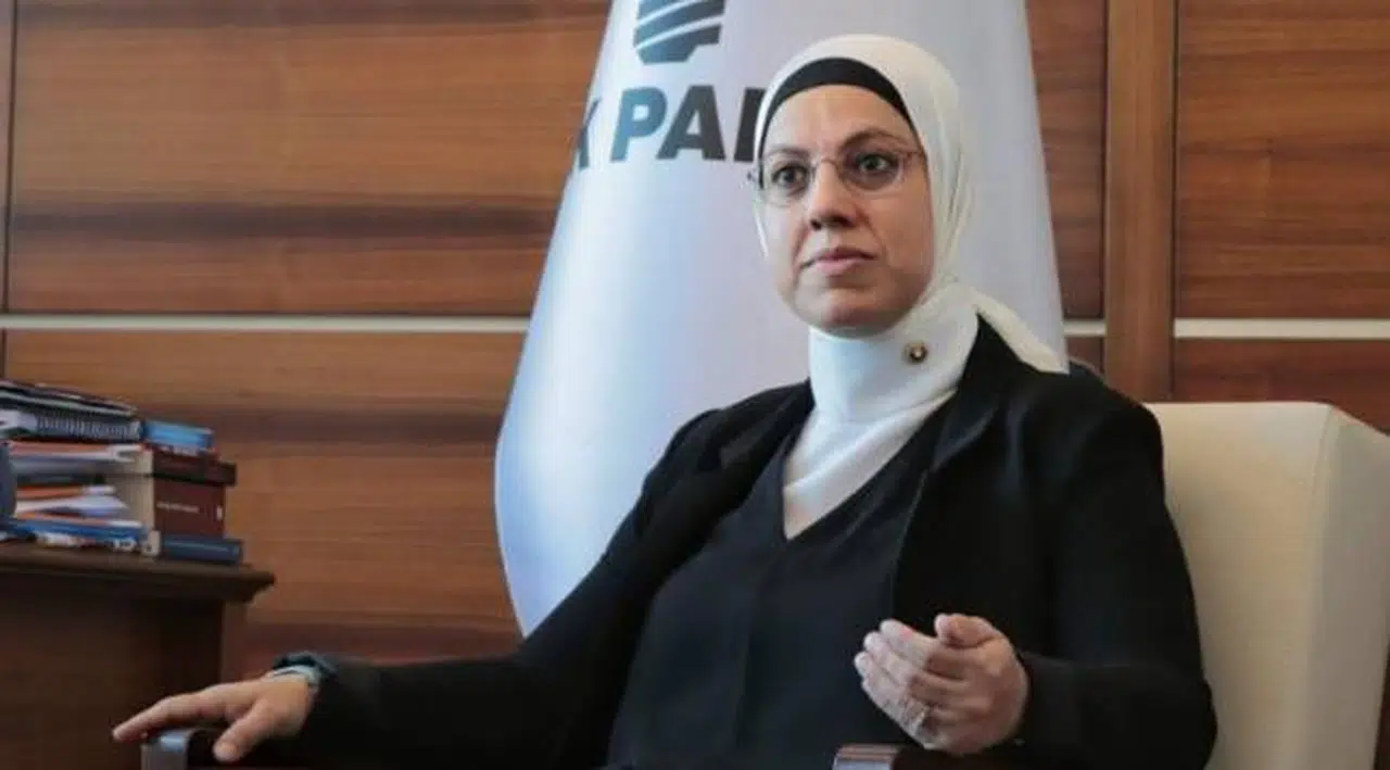 Kavakçı kardeşler, İBB bursuyla yazdıkları tezde Atatürk'e hakaret etti