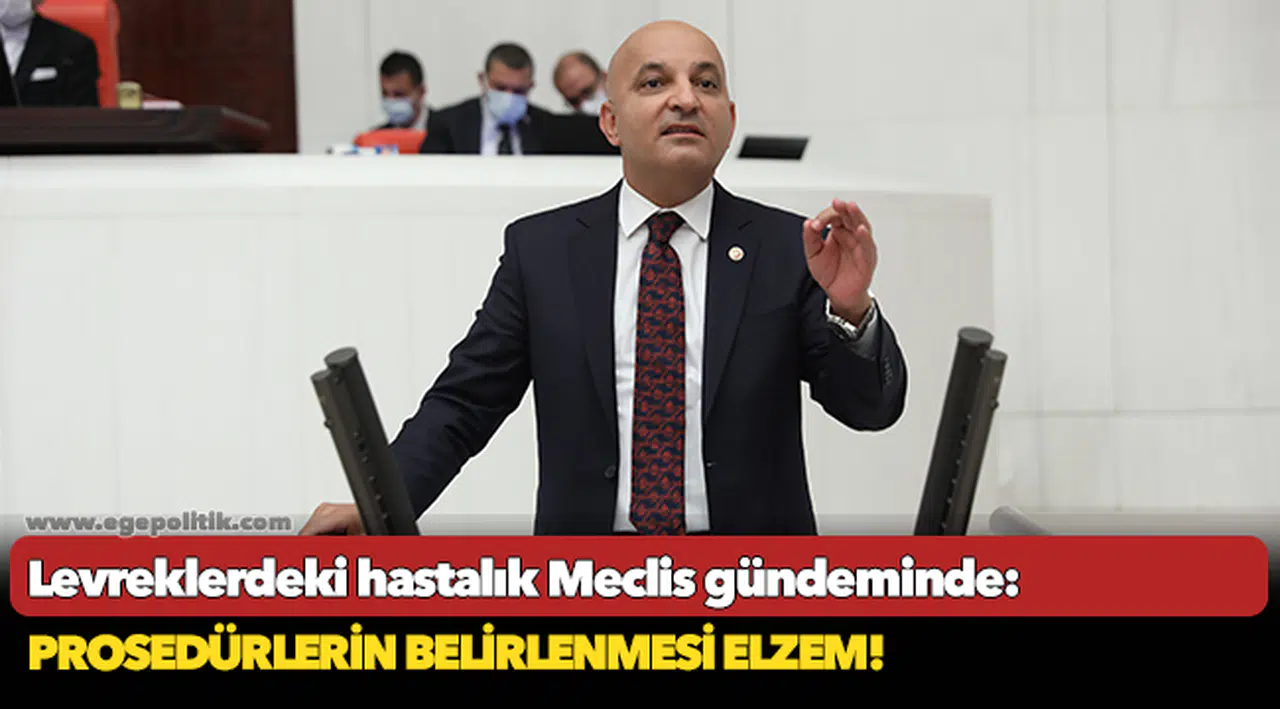 Levreklerdeki hastalık Meclis gündeminde: Prosedürlerin Belirlenmesi Elzem!