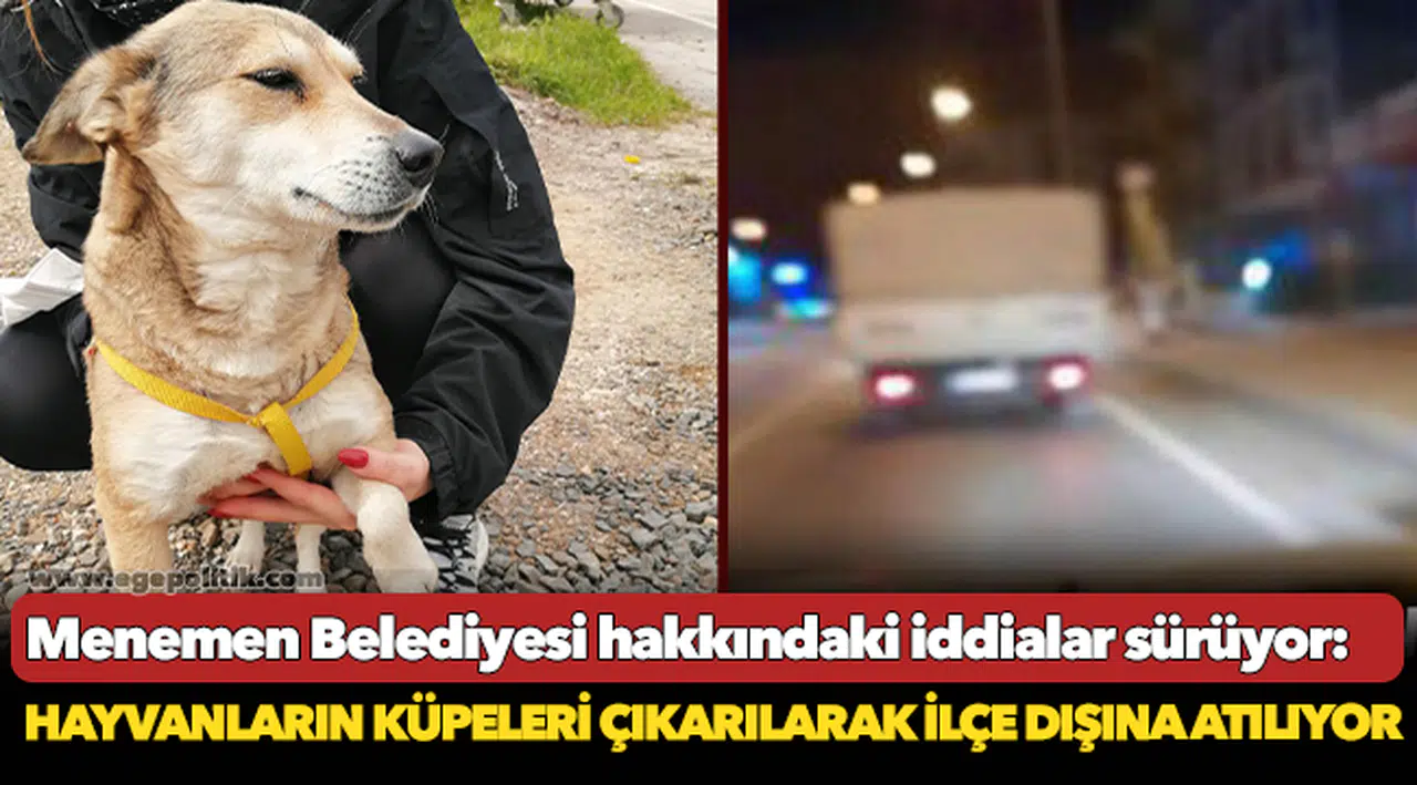 Menemen Belediyesi hakkındaki iddialar sürüyor: Hayvanların küpeleri çıkarılarak ilçe dışına atılıyor
