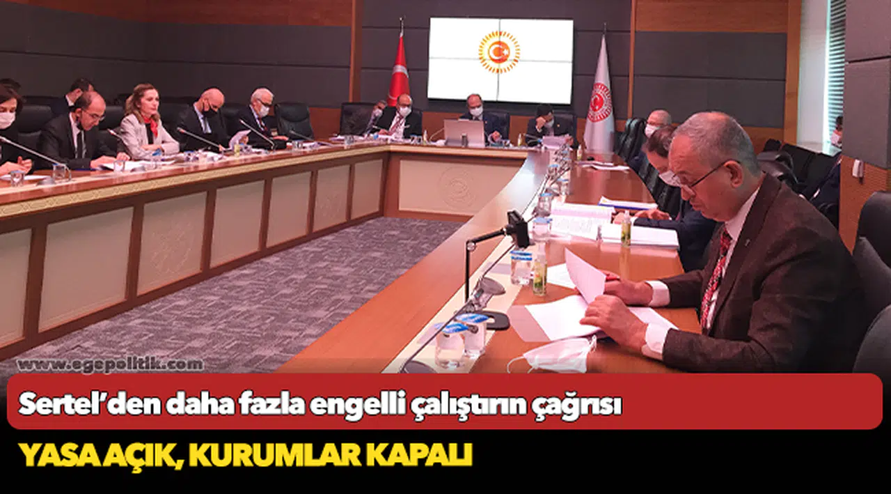 Sertel’den daha fazla engelli çalıştırın çağrısı