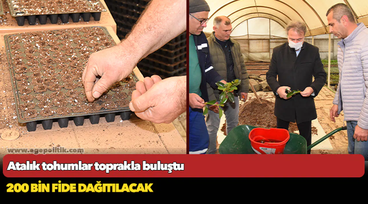Atalık tohumlar toprakla buluştu