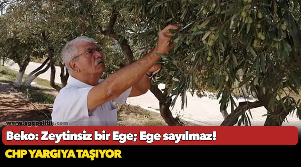Beko: Zeytinsiz bir Ege; Ege sayılmaz!