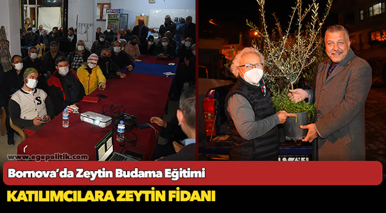 Bornova’da Zeytin Budama Eğitimi