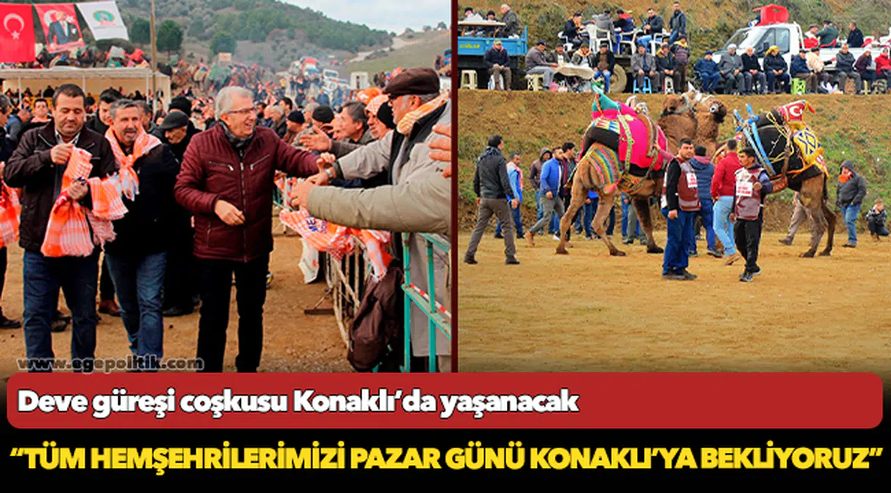 Deve güreşi coşkusu Konaklı’da yaşanacak