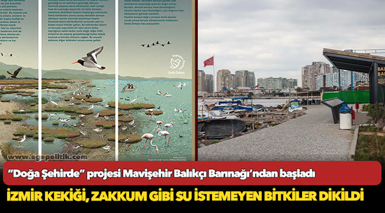 “Doğa Şehirde” projesi Mavişehir Balıkçı Barınağı’ndan başladı
