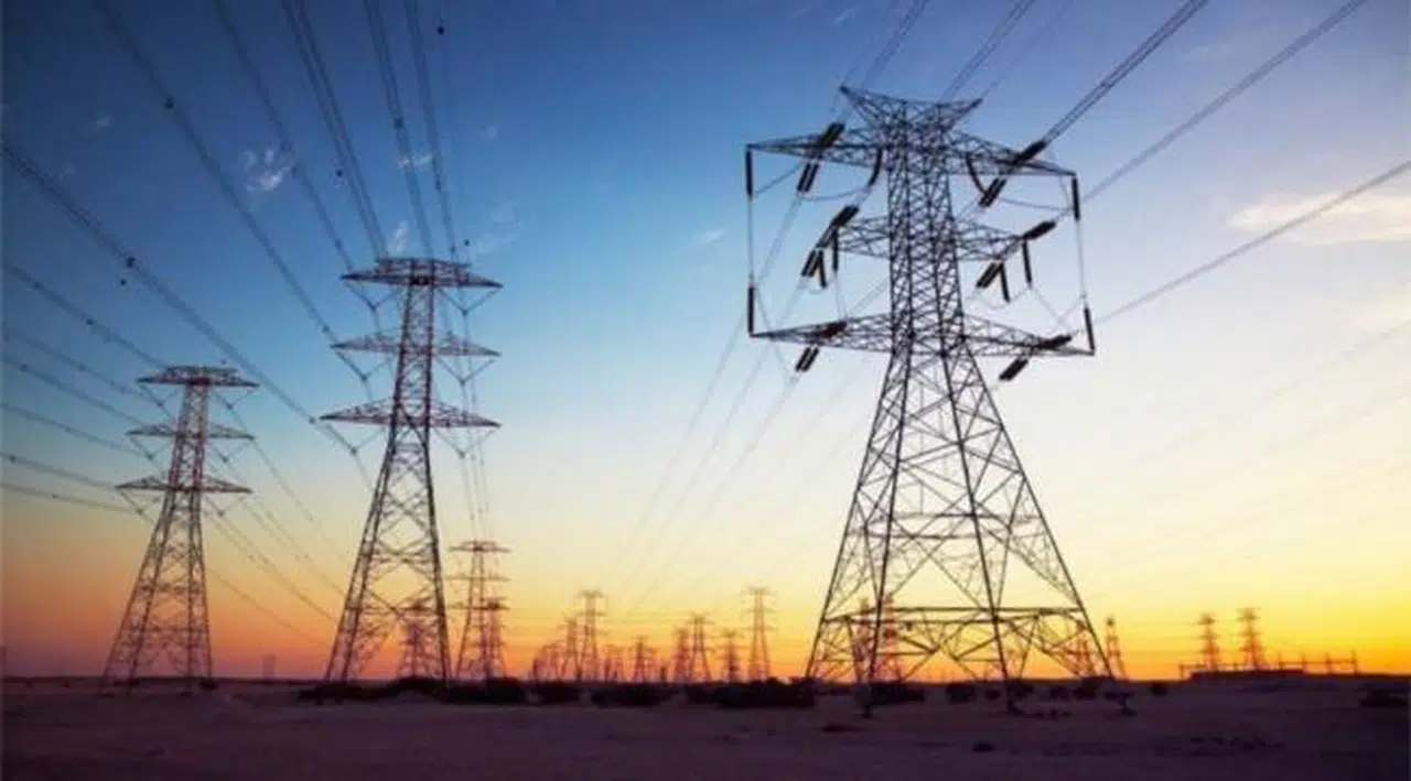 Elektrik şirketlerine bir yılda 3,6 milyar TL bakanlık ödemesi