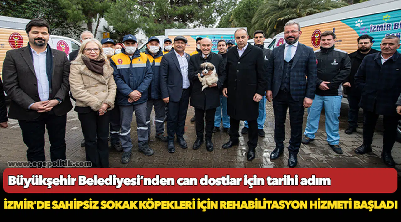 İzmir'de sahipsiz sokak köpekleri için rehabilitasyon hizmeti başladı
