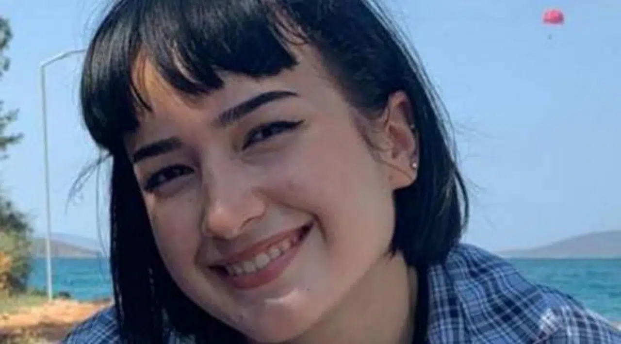 Köpeklerden kaçarken otomobilin çarptığı Rabia yaşamını yitirdi