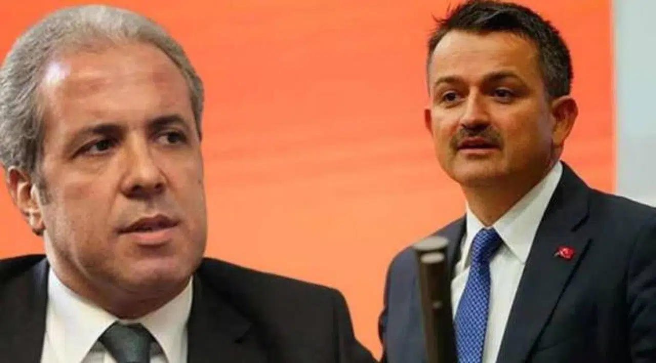 Şamil Tayyar'dan Bekir Pakdemirli'ye: Kibrinden...