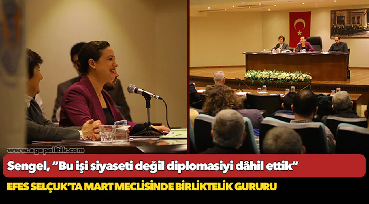 Sengel; “Bu işi siyaseti değil diplomasiyi dâhil ettik"