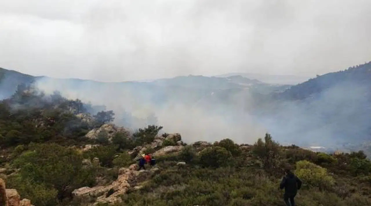 Bodrum Belediye Başkanı'ndan yangına ilişkin açıklama: Bir sabotajın sonucu gibi görünüyor
